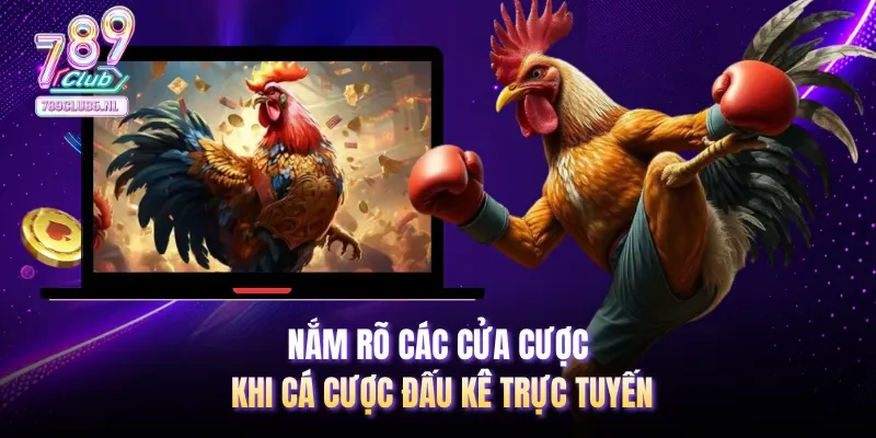 Nắm rõ các cửa cược khi cá cược đấu kê trực tuyến