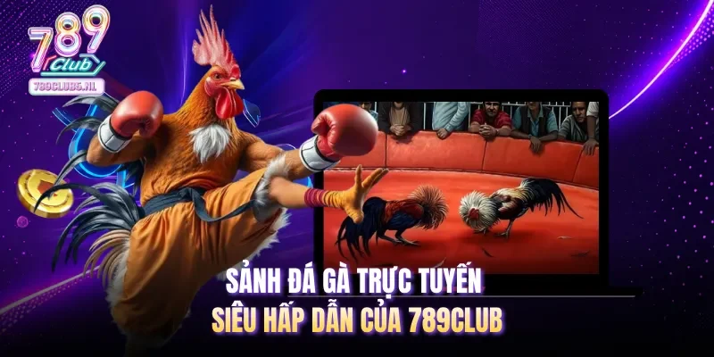 Sảnh đá gà trực tuyến siêu hấp dẫn của 789club